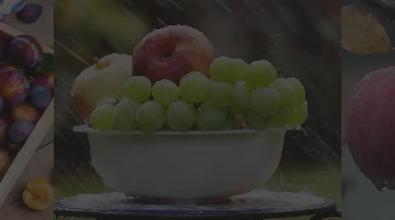 Fresh Farm Products