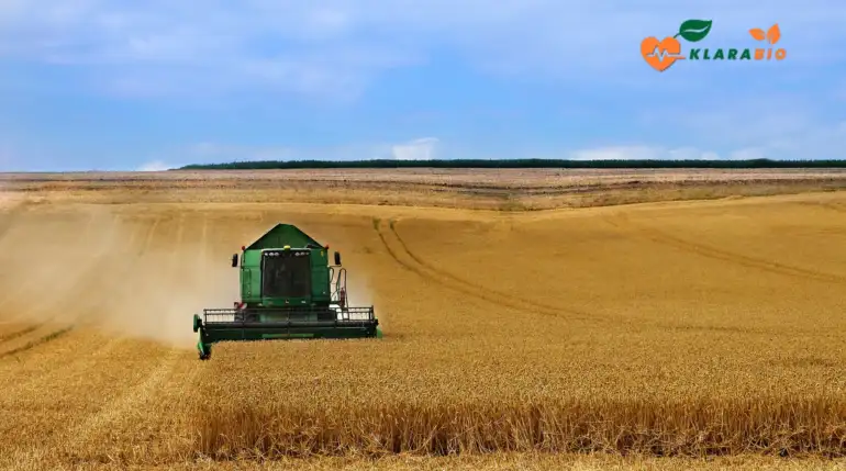 Organic Flour in Casablanca – Wholesome Grains by Klarabio